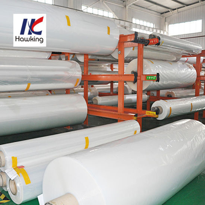 Co-Extrusion Thermoforming Film For Sausage Meat  Packaging
