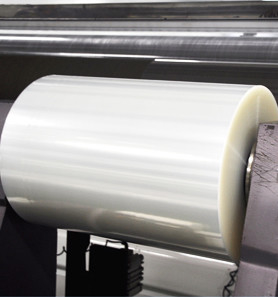 Multi Layer Thermoforming Film Co Extruded Casting PA EVOH PP Food Plastic Packaging Film