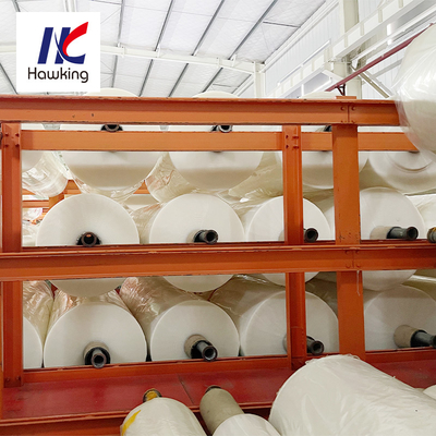 Multilayer PA PE Evoh Plastic Co Extruded Film Smoked Sausage Package